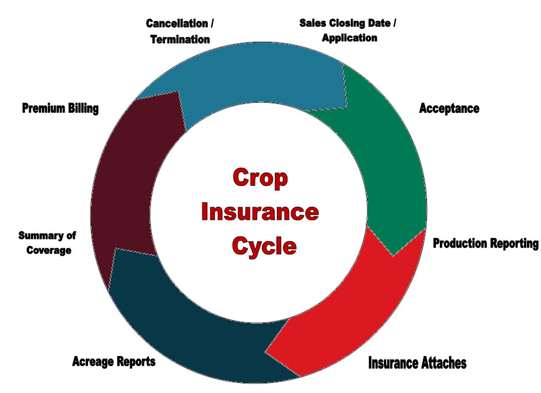 Crop Insurance Cycle AG360 Insurance